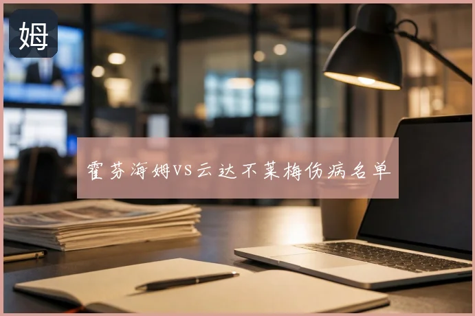 霍芬海姆vs云达不莱梅伤病名单
